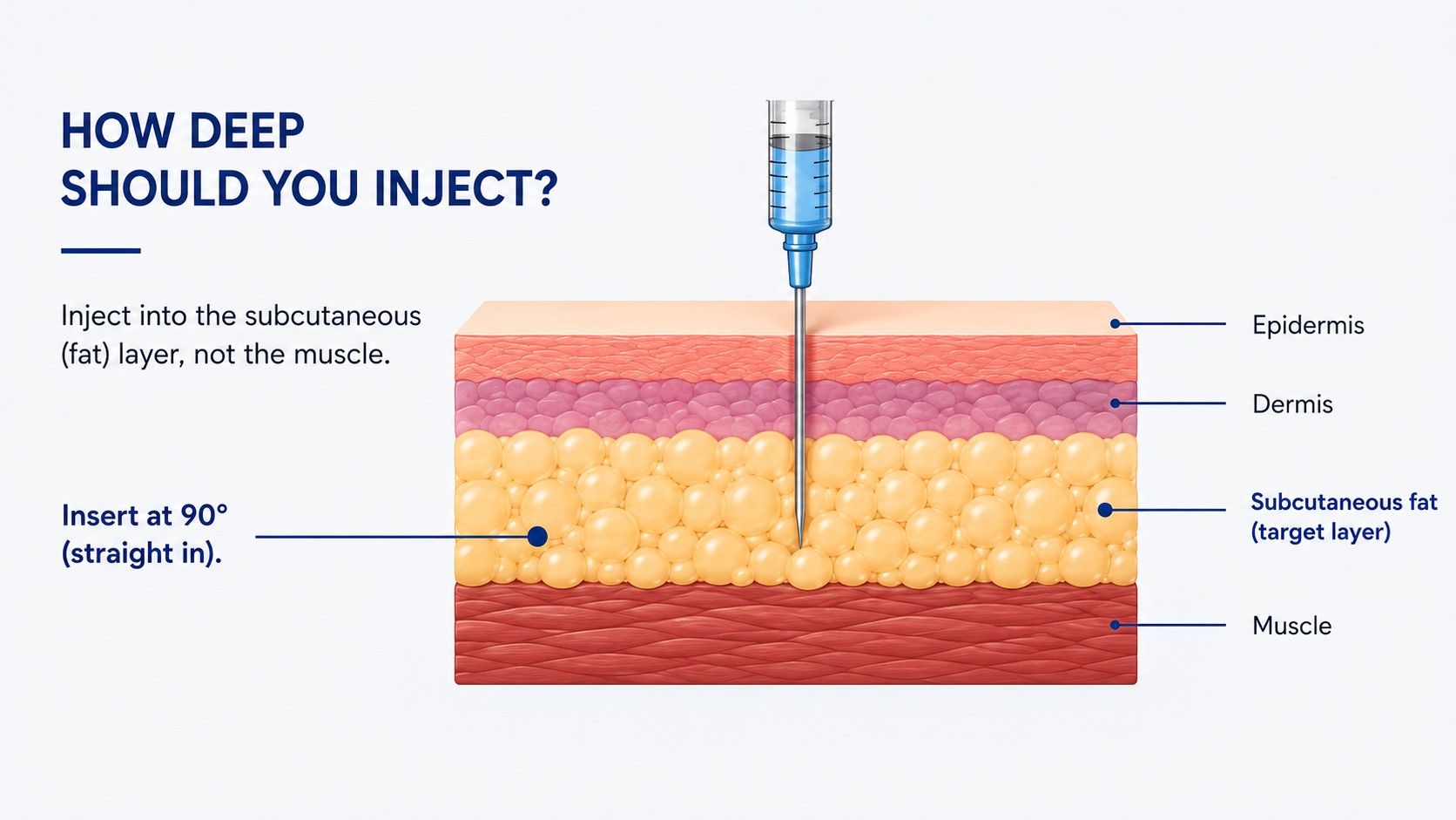 Cross-section diagram showing peptide injection into the subcutaneous fat layer rather than muscle
